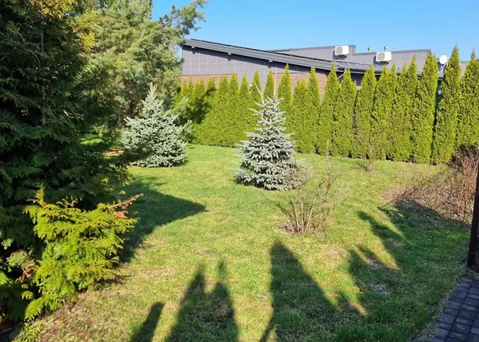 Algida Dom wakacyjny